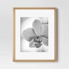 11"x14" Matted to 8"x10" Traditional Value Picture Frame (Color: Gold)