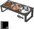 Elevated 10° Tilted Cat Bowl Stand with 2 Stainless Steel Bowls and Splash-Proof Mat