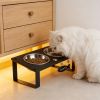 Elevated 10° Tilted Cat Bowl Stand with 2 Stainless Steel Bowls and Splash-Proof Mat