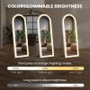 64x21-Inch LED Full-Length Mirror with 3-Color Lighting and Stand.